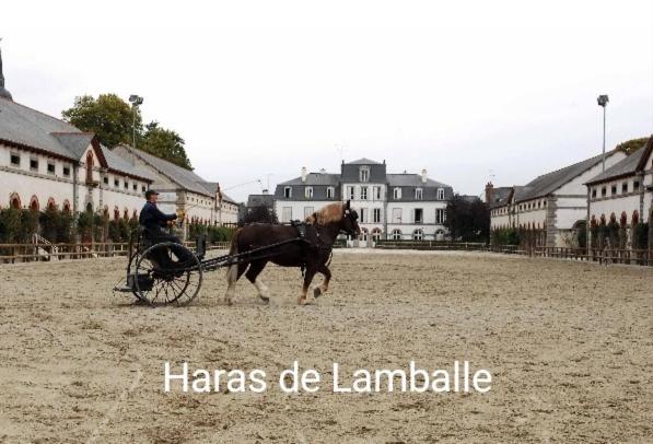 Perle Rare, Appartement Paisible Et Cosy Lamballe Exterior foto